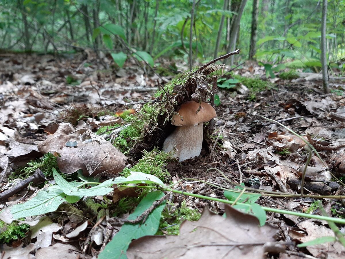 20210814_101604.jpg
